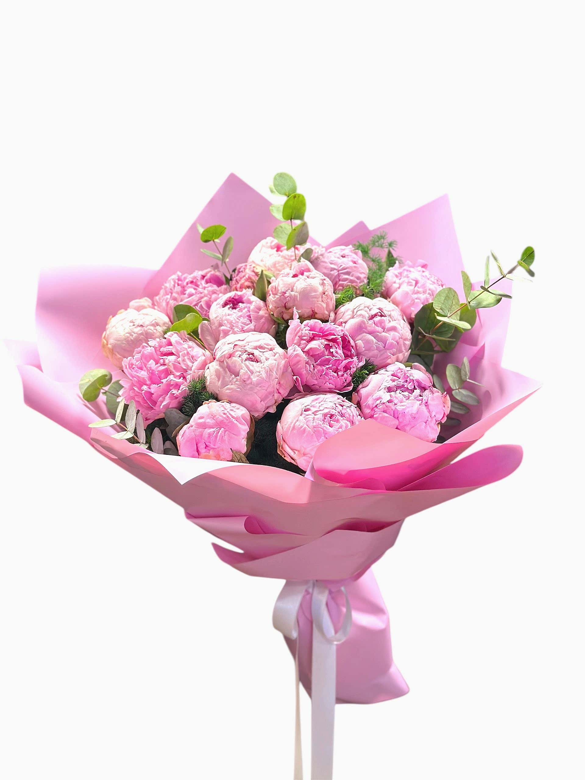 Photoroom_20260105_234144